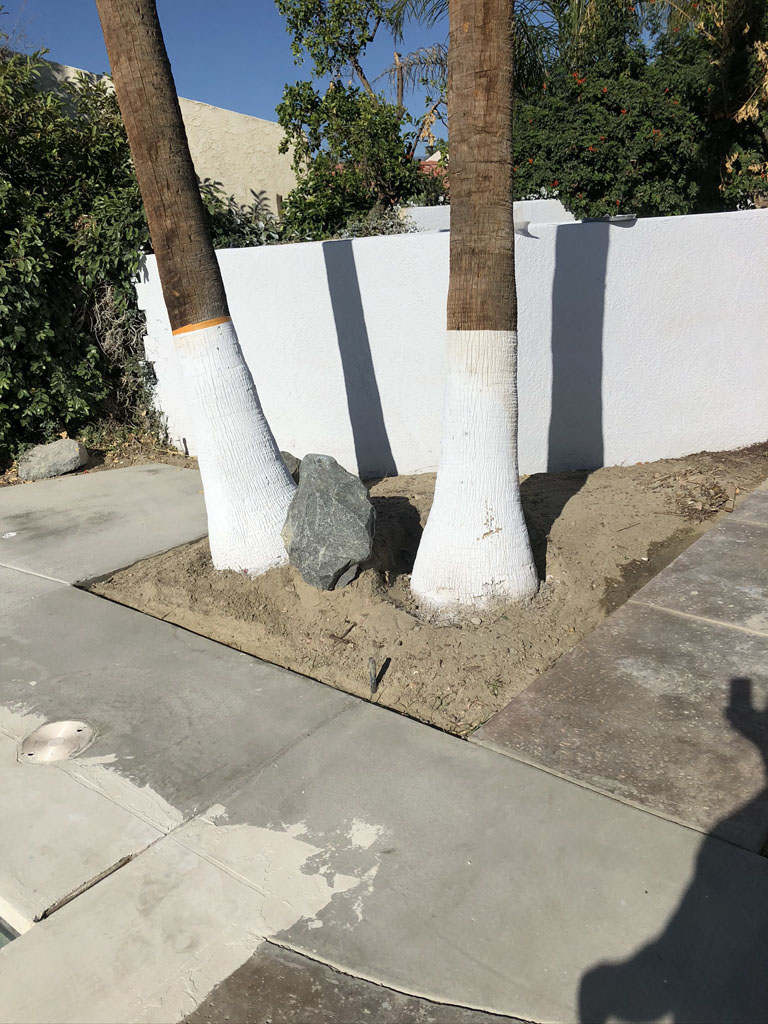 Tree foot with stucco wall