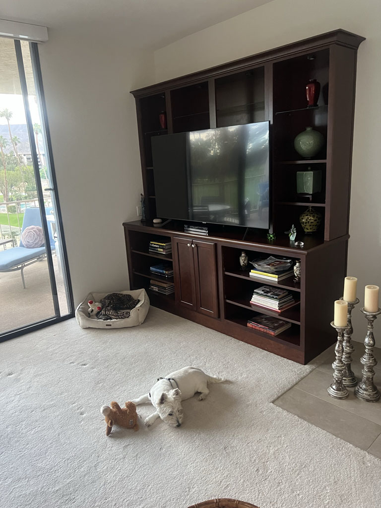 Livingroom remodel