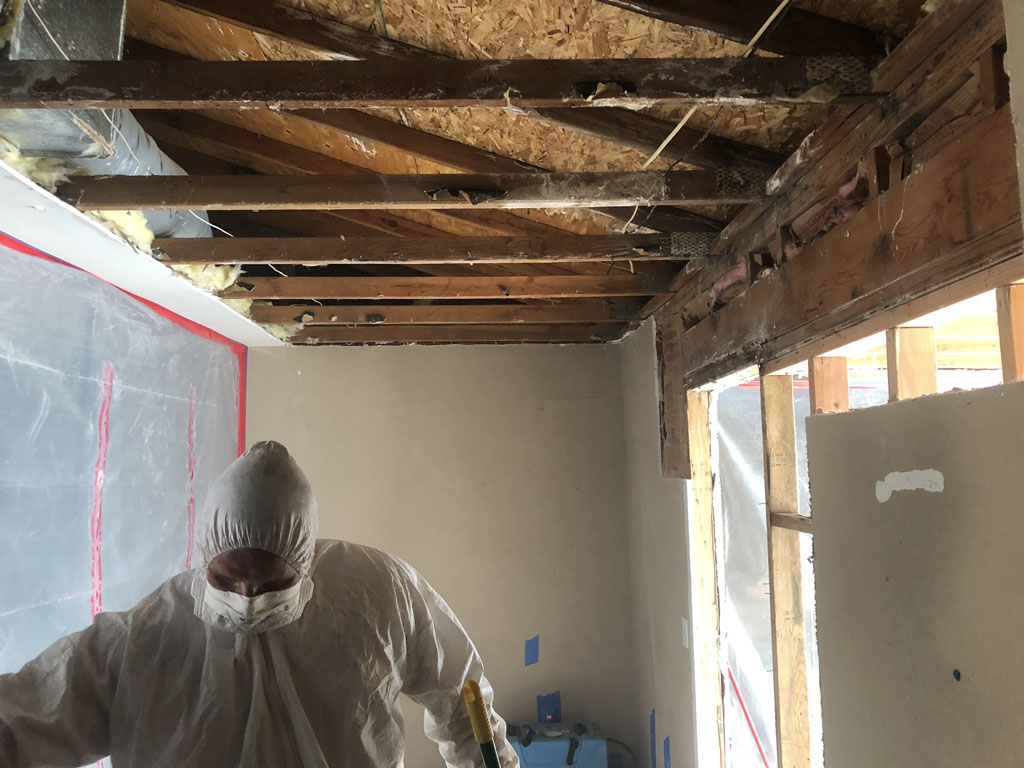 Environmental cleaning