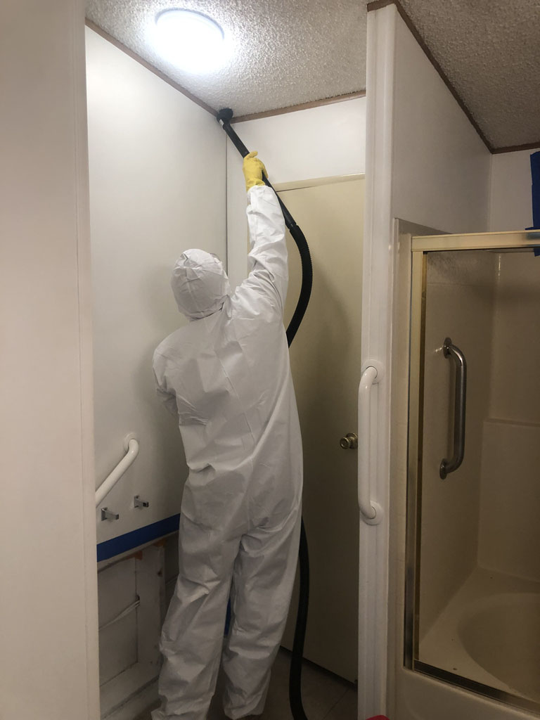 Environmental cleaning