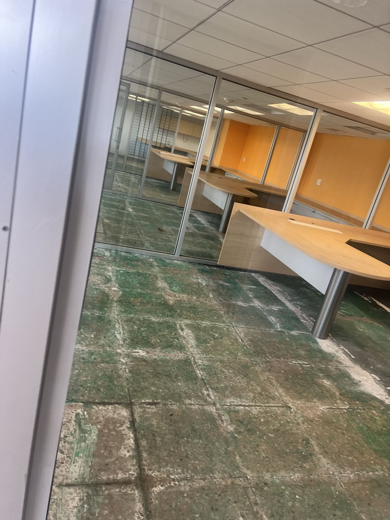 Commercial painting and remodel