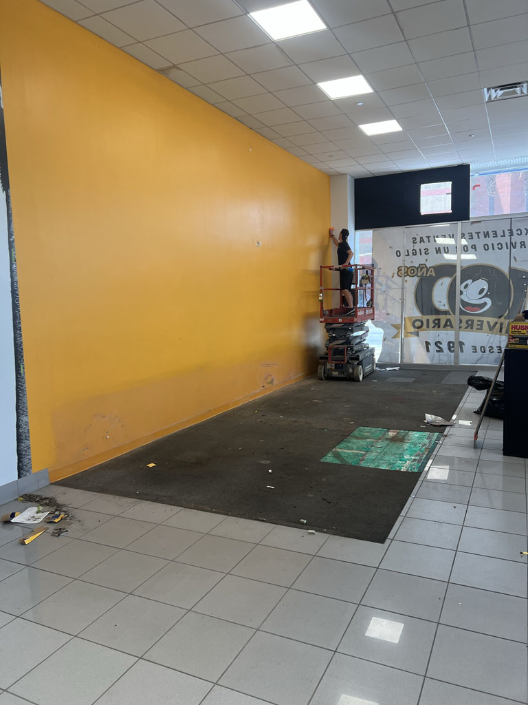 Commercial painting and remodel