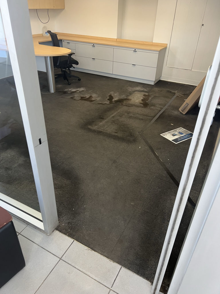 Commercial painting and remodel