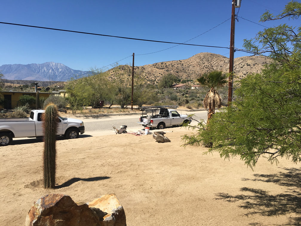 Front yard