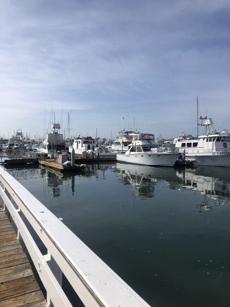 Boats in a harbor
