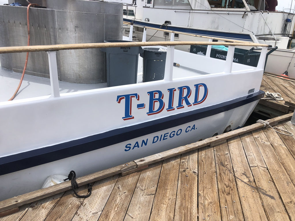 Side of painted boat